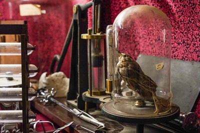 Lot 6 - AN EXPERIMENT ON A BIRD IN AN AIR PUMP