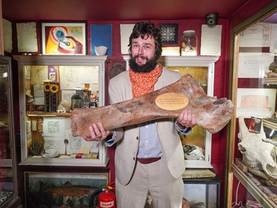 Lot 7 - THE LEG BONE OF AN 'IRISH GIANT'