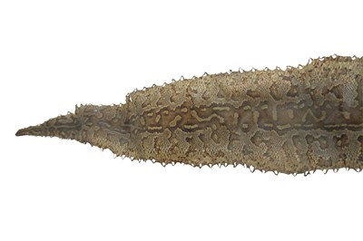 Lot 38 - AN EARLY 20TH CENTURY ROCK PYTHON SKIN