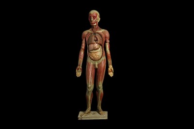Lot 116 - AN EARLY 20TH CENTURY ANATOMICAL MODEL OF A MALE FULL STANDING FIGURE
