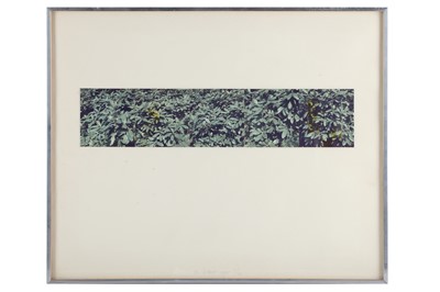 Lot 431 - Jan Dibbets b.1941