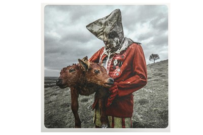 Lot 100 - A TAXIDERMY TWO HEADED CALF BY SIMON 'THE STUFFA' WILSON