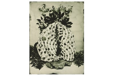 Lot 286 - Lucia Pizzani b.1975