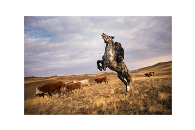Lot 250 - Aaron Huey b.1975