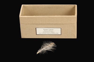 Lot 11 - RELICS OF EXTINCT BIRDS: A FEATHER OF A ESKIMO CURLEW, NUMENIUS BOREALIS
