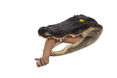 Lot 153 - TAXIDERMY: ‘GATORS GOTCHA!’ AMERICAN ALLIGATOR (ALLIGATOR MISSISSIPPIENSIS) HEAD