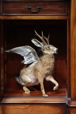 Lot 141 - TAXIDERMY: ‘WOLPERTINGER’