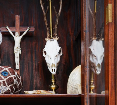 Lot 191 - TAXIDERMY LAMP: ROE DEER (CAPREOLUS CAPREOLUS) SKULL LAMP, MODERN