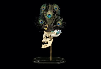 Lot 108 - ‘BIRD BRAIN’, ART PIECE IN VICTORIAN DOME, GENUINE HUMAN SKULL WITH ANTIQUE ORNITHOLOGICAL SPECIMENS