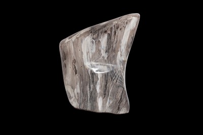 Lot 281 - PETRIFIED FOSSIL WOOD SPECIMEN