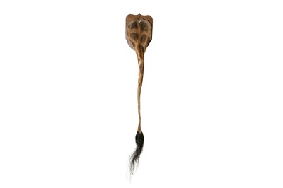 Lot 98 - A TAXIDERMY GIRAFFE TAIL BY SIMON 'THE STUFFA' WILSON