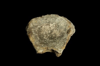 Lot 286 - A FOSSILIZED VERTEBRA, PROBABLY OF A MEDALODON SHARK