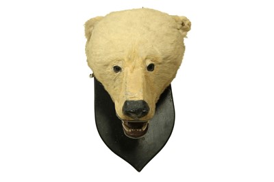 Lot 42 - A 19TH CENTURY TAXIDERMY POLAR BEAR HEAD