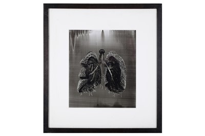 Lot 73 - MAT HUMPHREY (BRITISH): LUNGS, OIL ON BOARD