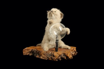 Lot 91 - A TAXIDERMY KITTEN LAMP BY ANDRE ROBOLOBAVICH