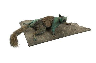 Lot 94 - A TAXIDERMY FRANKEN-SQUIRREL BY SARINA BREWER