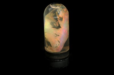 Lot 267 - A RARE OPALISED WOOD FOSSIL