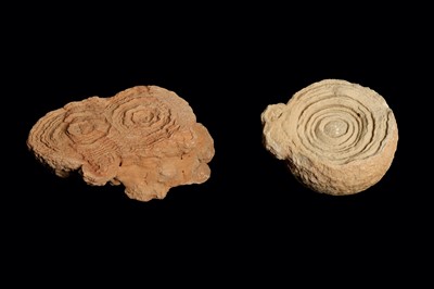 Lot 262 - TWO SAND STROMATOLITES
