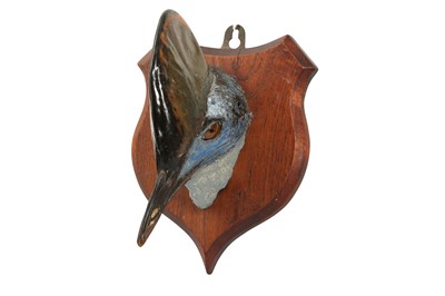 Lot 190 - A TAXIDERMY CASSOWARY HEAD