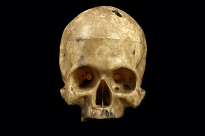 Lot 113 - A MODEL OF A HUMAN SKULL