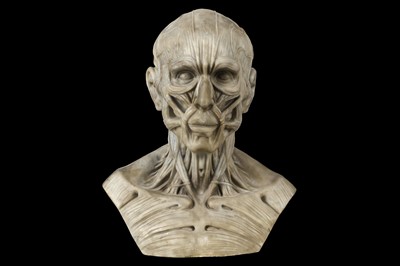 Lot 110 - AN ITALIAN MARBLE VANITAS BUST OF AN ECORCHE