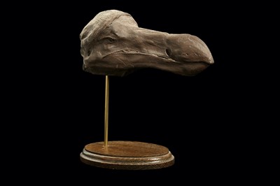 Lot 105 - A CAST OF A DODO HEAD