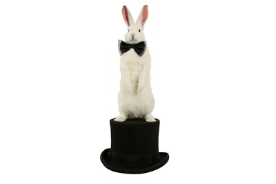 Lot 228 - TAXIDERMY: WHITE RABBIT WEARING BOW TIE ON TOP HAT