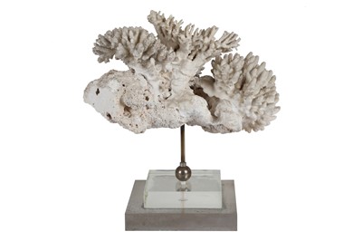 Lot 44A - A CORAL SPECIMEN ON LUCITE BASE, CIRCA 1960s