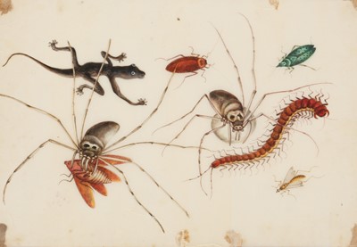 Lot 424 - A CHINESE ALBUM OF SIX PITH PAPER PAINTINGS OF FISH AND INSECTS.