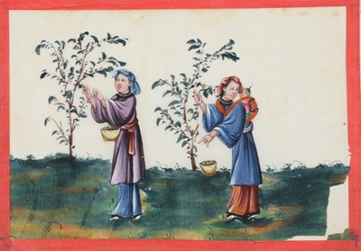 Lot 420 - A CHINESE ALBUM OF TWELVE PITH PAINTINGS OF TEA PRODUCTION.