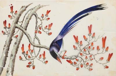 Lot 422 - TWELVE CHINESE PITH PAPER PAINTINGS.