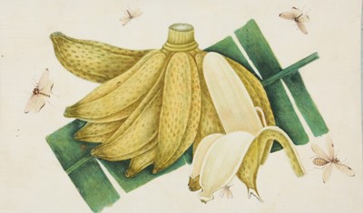 Lot 425 - A CHINESE ALBUM OF EIGHTEEN PITH PAPER PAINTINGS OF FLOWERS.