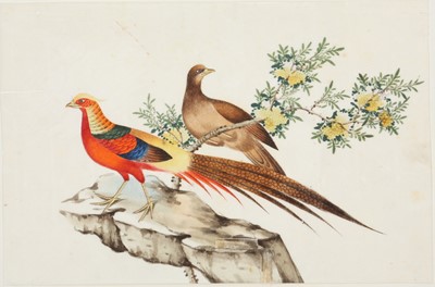 Lot 423 - FIFTEEN CHINESE PITH PAINTINGS OF BIRDS AN FLOWERS.