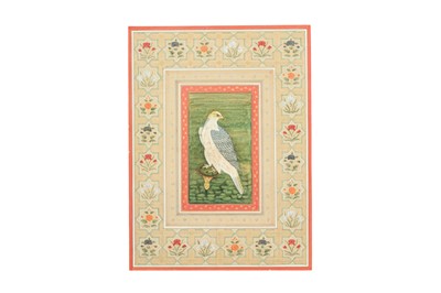 Lot 42 - A MALE SHIKRA (LITTLE BANDED GOSHAWK) ON A POST