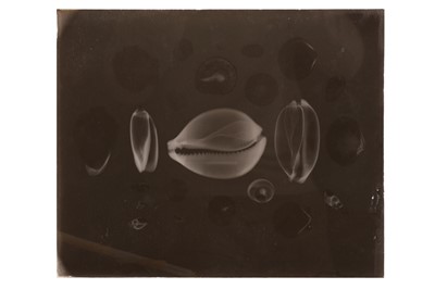 Lot 131 - American X-Ray, c.1930-1940