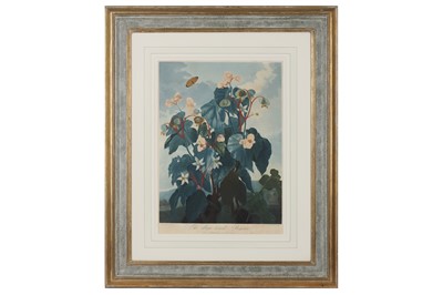 Lot 1169 - JAMES CALDWALL (BRITISH 1739-1822) AFTER RAMSAY PETER REINAGLE (BRITISH 1775-1862)