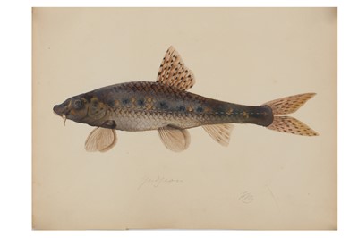 Lot 94 - ATTRIBUTED TO SARAH BOWDICH (BRITISH 1791-1856)