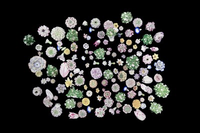 Lot 238 - A VERY LARGE COLLECTION OF 18TH AND 19TH CENTURY AND LATER VINCENNES STYLE PORCELAIN FLOWERS