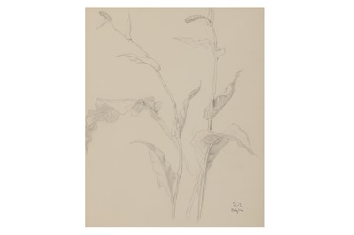 Lot 114 - ELIOT HODGKIN (1905–1987)
