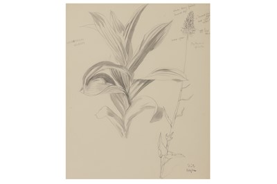 Lot 115 - ELIOT HODGKIN (1905–1987)