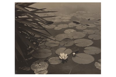 Lot 135 - Unknown Photographer (Japanese School), c.1940s