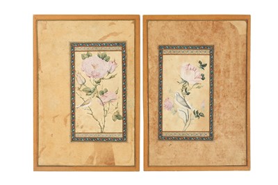 Lot 344 - A PAIR OF QAJAR MURAQQA’ ALBUM PAGES WITH STUDIES OF GOL-O-BOLBOL MOTIFS