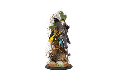 Lot 83 - TAXIDERMY: A LATE 19TH CENTURY DISPLAY OF EXOTIC BIRDS BENEATH A GLASS DOME