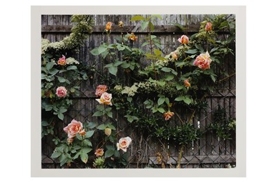 Lot 218 - Stephen Shore b.1947
