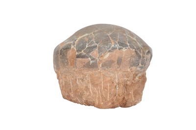 Lot 295 - A FOSSILISED DINOSAUR EGG SPECIMEN ON MATRIX, HENAN PROVINCE, CHINA