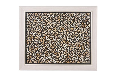 Lot 300 - A LARGE FRAMED DISPLAY OF FOSSILISED SHARK TEETH, 55 MILLIONS YEARS OLD