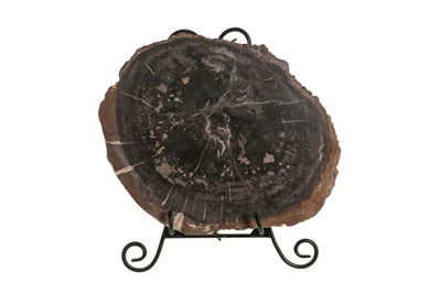 Lot 309 - A LARGE SECTION OF FOSSILISED WOOD, JAVA, INDONESIA, TWO MILLION YEARS OLD