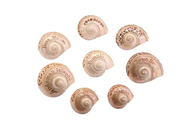 Lot 140 - A COLLECTION OF EIGHT LATE 19TH / EARLY 20TH CENTURY CARVED GREAT GREEN TURBAN SHELLS (TURBO MARMORATUS)