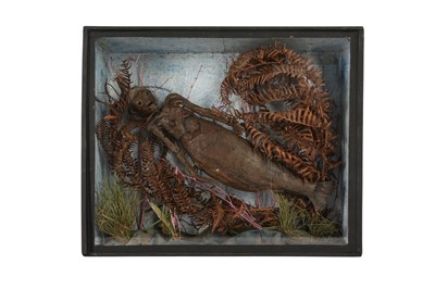 Lot 30 - A FIJI MERMAID IN A DISPLAY CASE