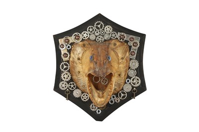 Lot 357 - A DRIED FISH HEAD ON DISPLAY SHIELD